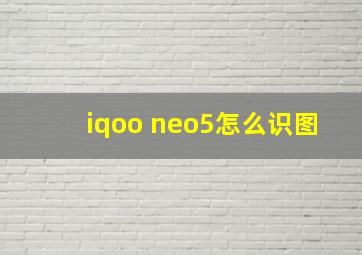 iqoo neo5怎么识图